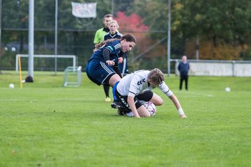 Bild 220 - B-Juniorinnen SV Henstedt Ulzburg - Hamburger SV : Ergebnis: 2:3